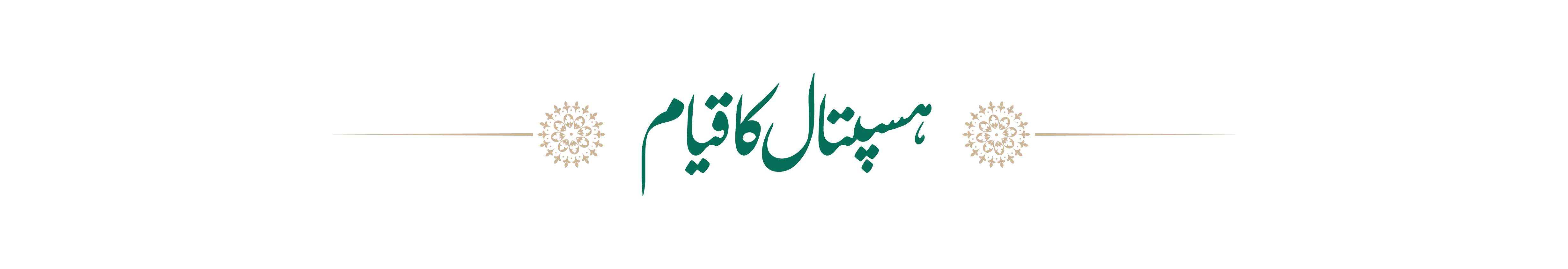 ہسپتال کا قیام